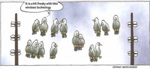 WirelessBirds[1]