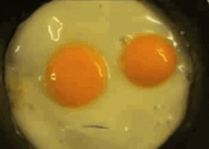 laugh-my-favourite-gif-ever-imgur[1]
