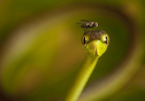 national-geographic-traveler-photo-contest-2013-20[1]