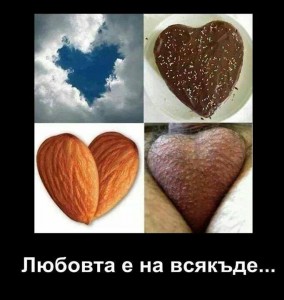 xczOKIenn.jpg.pagespeed.ic.IlpaBQ3HYh[1]
