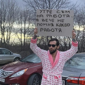 231